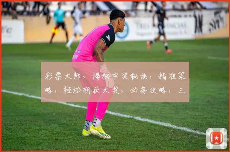 彩票大师，揭秘中奖秘诀，精准策略，轻松斩获大奖，必备攻略，三步走