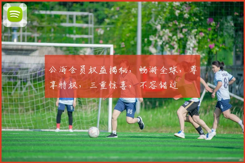 公海会员权益揭秘，畅游全球，尊享特权，三重惊喜，不容错过
