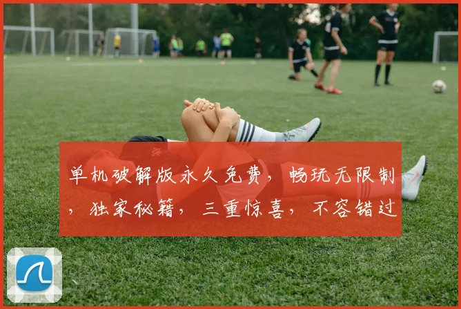 单机破解版永久免费，畅玩无限制，独家秘籍，三重惊喜，不容错过，快来体验
