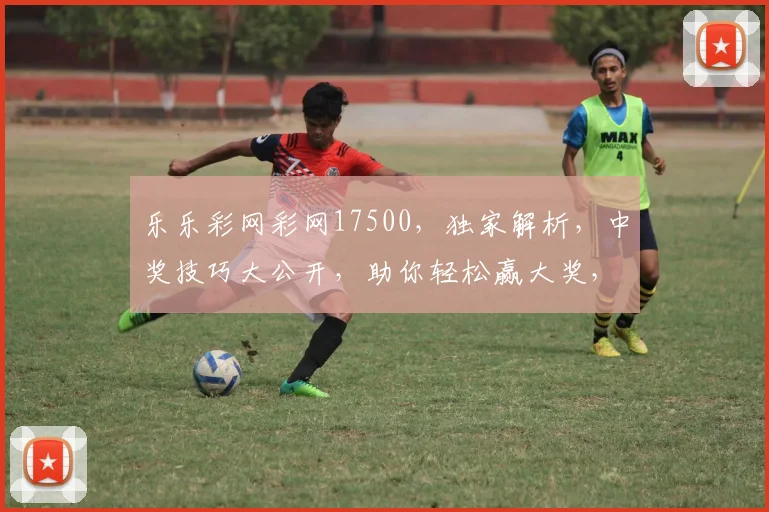 乐乐彩网彩网17500，独家解析，中奖技巧大公开，助你轻松赢大奖，必看