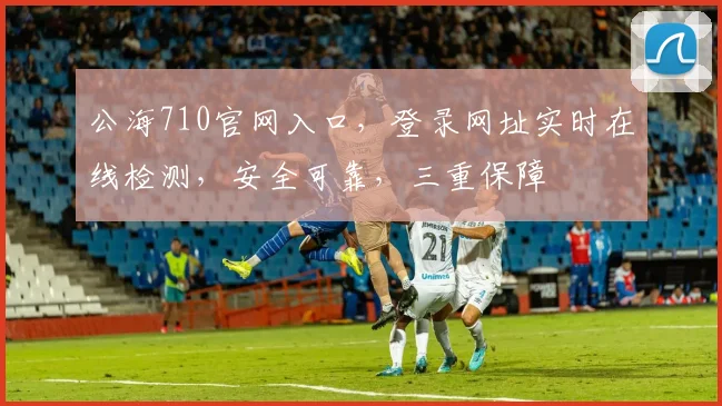 公海710官网入口，登录网址实时在线检测，安全可靠，三重保障